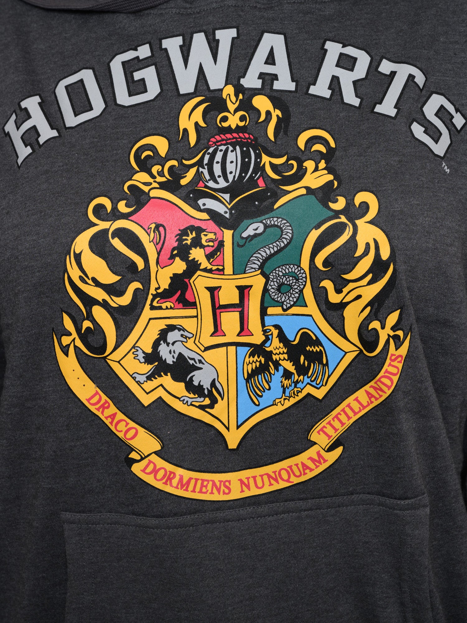 Men's Harry Potter Hoodie Sweatshirt Pullover Hogwarts Gryffindor Slytherin