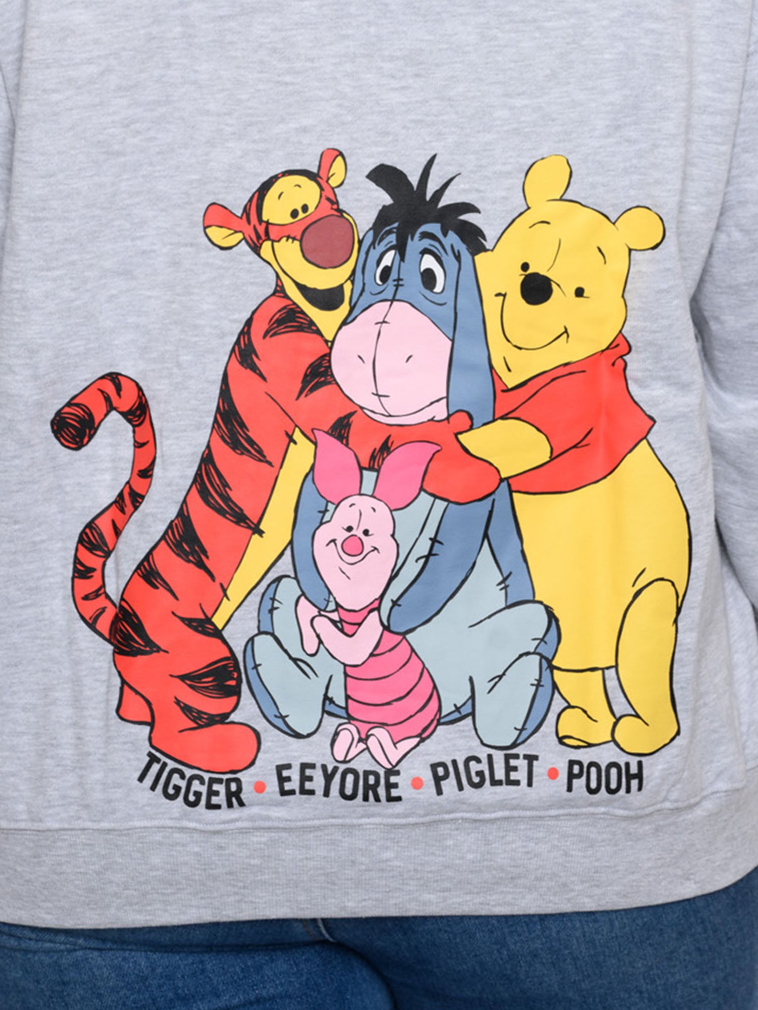 Disney Womens and Women's Plus Eeyore Winnie The Pooh Tigger Hoodie Sweatshirt